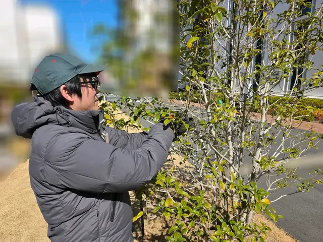 春害虫予防｜毛虫/蜂/蚊｜戸建てやオーナーさんも歓迎【追加料金なし】サービスの画像
