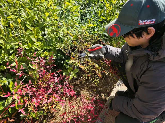 春害虫予防｜毛虫/蜂/蚊｜戸建てやオーナーさんも歓迎【追加料金なし】サービスの画像