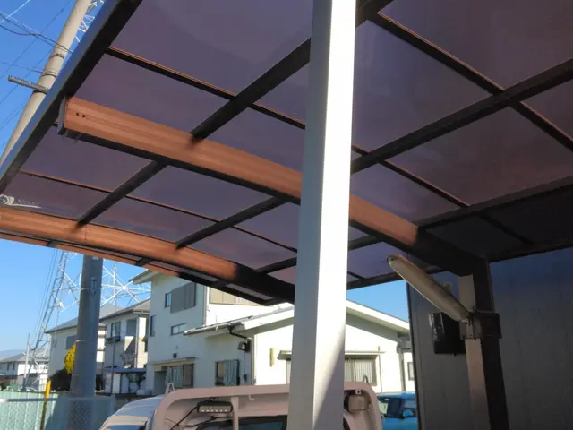 カーポートのお悩みはおまかせください！カーポートクリーニング、枯れ葉、雪おろし。サービスの画像