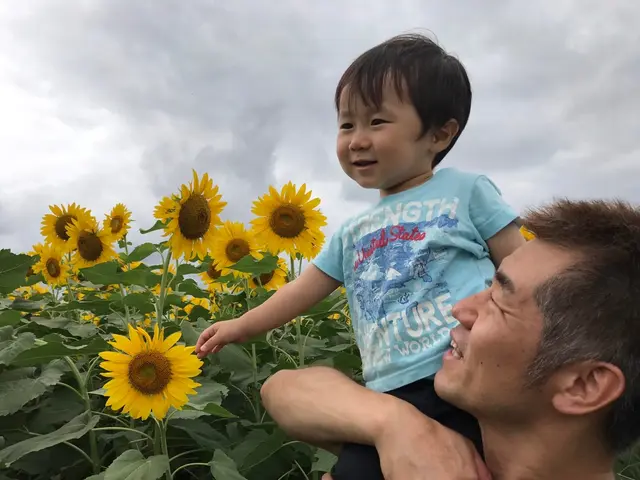 完全自社施工の障子張替え！万が一の際に備えて損害保険加入済み◎営業時間外も相談可サービスの画像