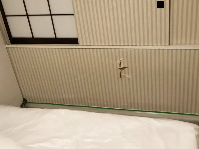 【業歴15年の実績】プロの技術でご満足いただけるように心を込めて作業いたしますサービスの画像