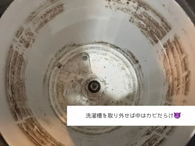 お子様がいらっしゃるお客様大歓迎◎忙しいママもニッコリ、洗濯機をピカピカにサービスの画像