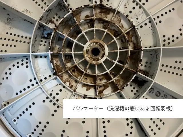 お子様がいらっしゃるお客様大歓迎◎忙しいママもニッコリ、洗濯機をピカピカにサービスの画像