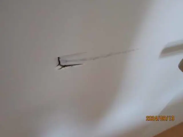 ★火災保険適用？★壁や扉の穴修繕修理★実質負担0円かも？★サービスの画像