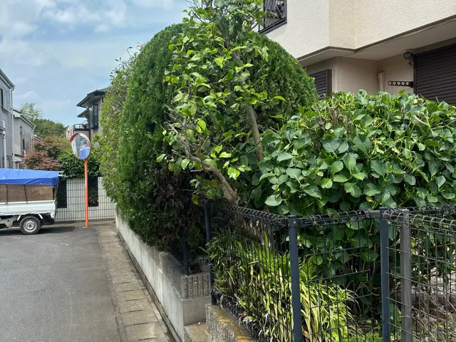 スッキリ庭木剪定サービスの画像