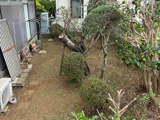 スッキリ庭木剪定サービスの画像