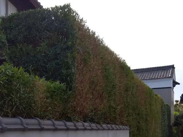 経験27年超のプロが手際よく仕上げる、お庭のケアサービスの画像