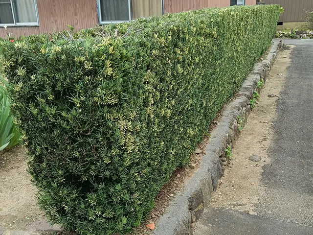 経験27年超のプロが手際よく仕上げる、お庭のケアサービスの画像