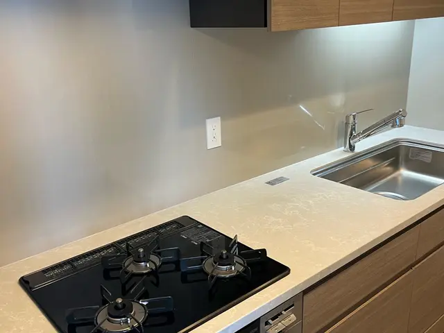 お忙しい方向け　在宅でも清掃可能　大掃除した様な綺麗な水回りに致します。サービスの画像