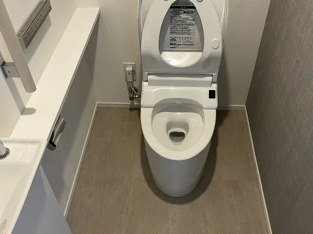 お忙しい方向け　在宅でも清掃可能　大掃除した様な綺麗な水回りに致します。サービスの画像