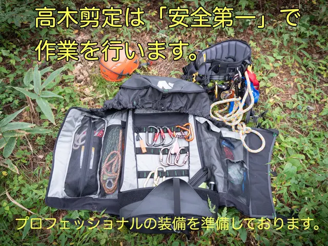 【2024アワード入賞】伸びるのが楽しみなお庭に★人気の自然樹形剪定！サービスの画像