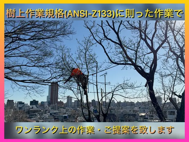 【2024アワード入賞】伸びるのが楽しみなお庭に★人気の自然樹形剪定！サービスの画像