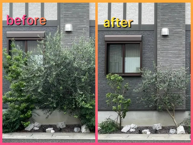 【2024アワード入賞】伸びるのが楽しみなお庭に★人気の自然樹形剪定！サービスの画像