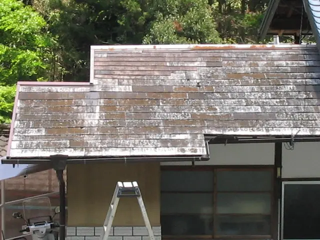 《業歴14年》年中無休◇損害保険加入済み！女性スタッフ同行可！お客様第一で対応！サービスの画像