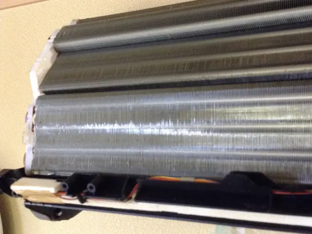 リピート様は割引」初めての方もオススメ店！アルコール除菌と消臭除菌コートは無料サービスの画像