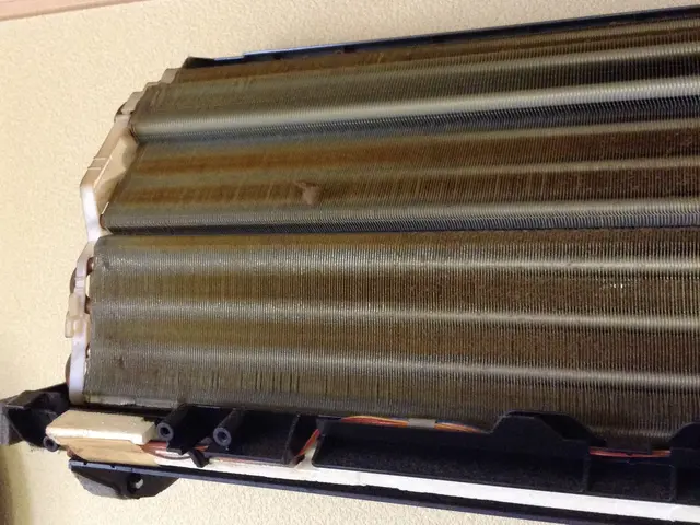 リピート様は割引」初めての方もオススメ店！アルコール除菌と消臭除菌コートは無料サービスの画像