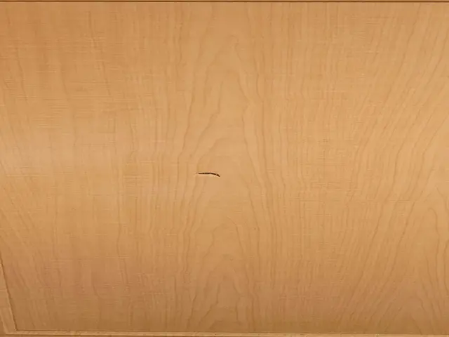 自社スタッフによる丁寧な作業で美しい仕上がりを実現！プロの床補修サービスサービスの画像