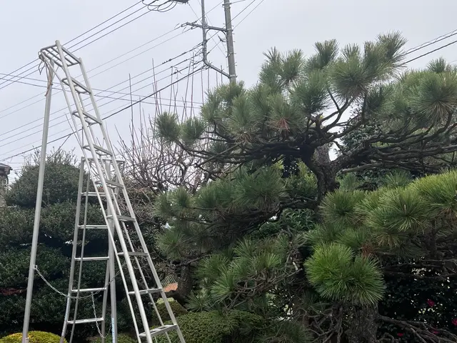 12月末までにご予約いただいたお客様は、ゴミ回収代、最大50%オフ致します。サービスの画像