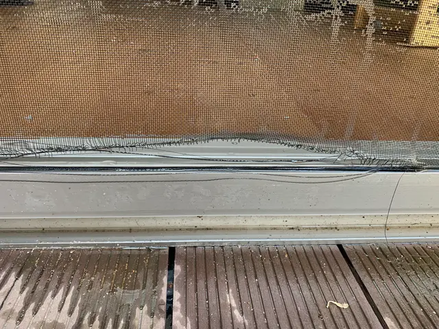 大掃除シーズン間近！網戸を新しくして、快適に、爽やかに♪サービスの画像