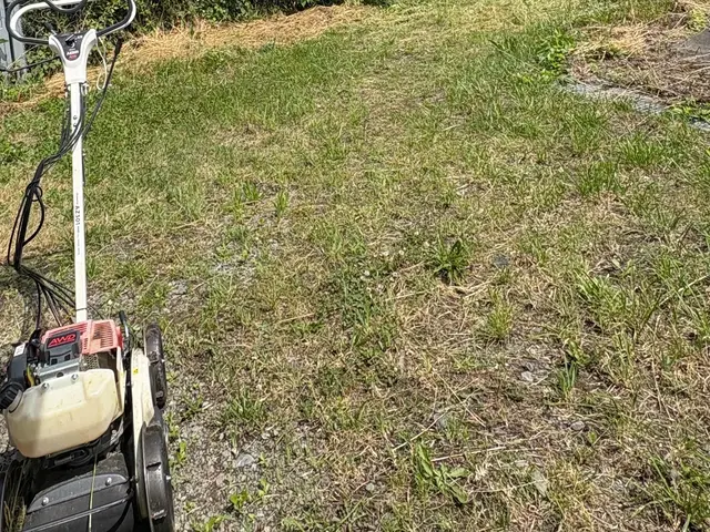 お困りの草刈りサービスの画像