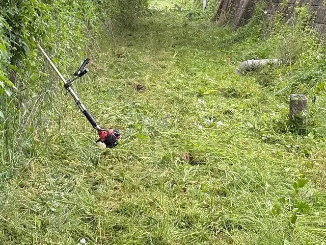 お困りの草刈りサービスの画像