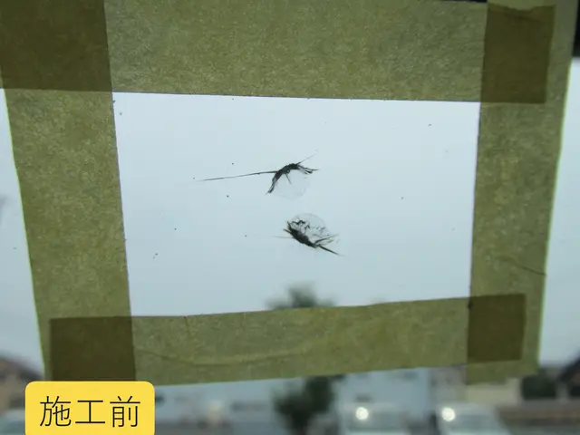 【実績30年以上】もうすぐ車検シーズン！只今2月のサービス月間中!サービスの画像