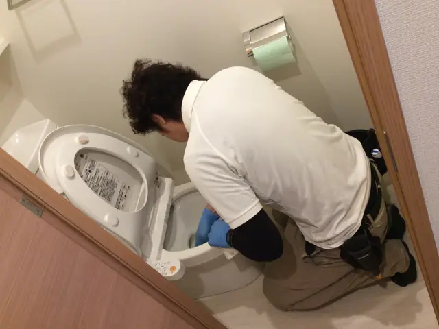 ☆サイト内対応可能日時地域要確認【技能資格監修】ご家庭の水まわりのお掃除で快適☆サービスの画像