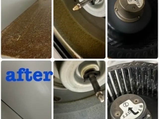 地域密着の丁寧対応！若さ溢れる大手仕込みのクリーニングサービスの画像