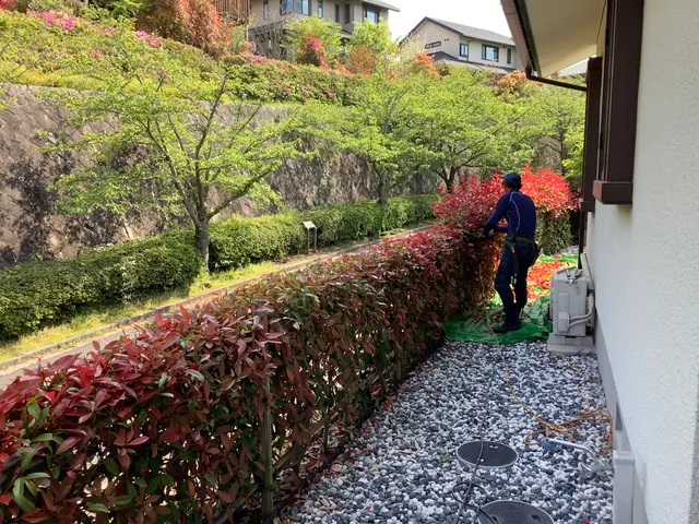 【明るく風通しの良いお庭へ】業界歴40年の庭師と店長の2人で丁寧に仕上げます。サービスの画像