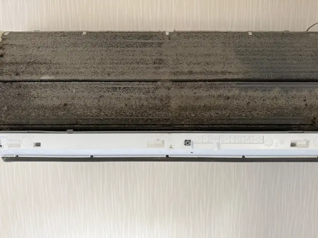 防カビ抗菌コートを無料施工。二度洗いの徹底エアコンクリーニング☆損害保険加入店サービスの画像