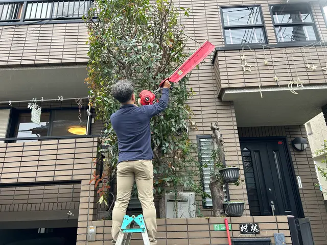 大手経験×5年の実績！個人・法人対応の丁寧な剪定サービスサービスの画像