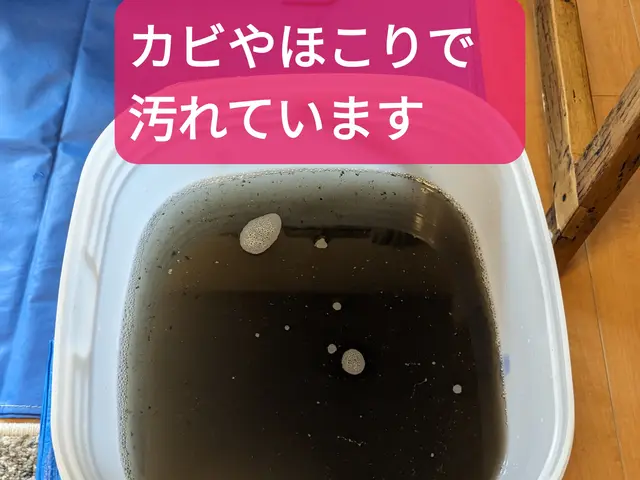 ファインバブル水でカビや汚れをキレイに！エコ洗剤で小さなお子様やペットにも安心☆サービスの画像