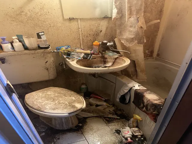 新年お年玉セール1/8～予約可【水回り3点】法人13年の職人技術で汚れを一掃！サービスの画像