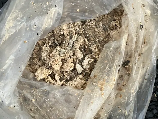 【茨城・栃木 2拠点発】業務用薬剤無料サービス！詰まる前に綺麗に！損害保険加入店サービスの画像