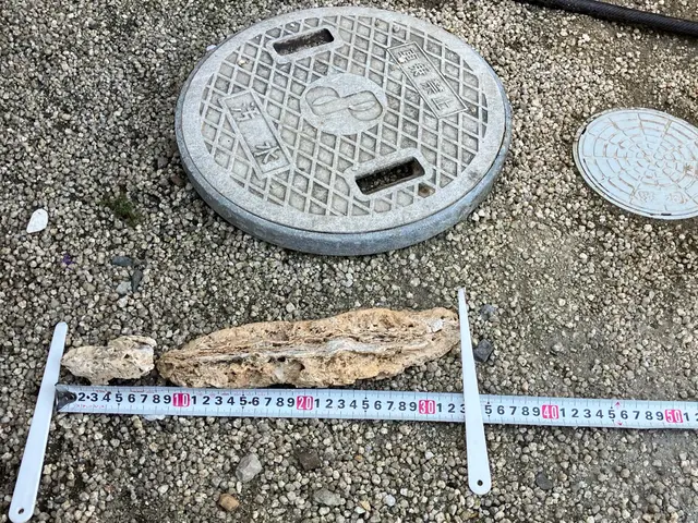 【最短4月18日午後空き有！】エアコンとセットで¥500引き☆業務用薬剤サービスサービスの画像