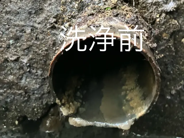 【茨城・栃木 2拠点発】業務用薬剤無料サービス！詰まる前に綺麗に！損害保険加入店サービスの画像