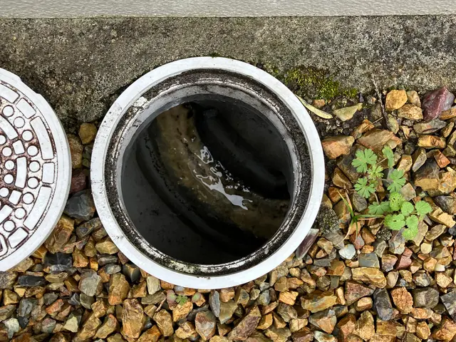 【エリア次第で最短12/22(月)午前中空き有！】業務用薬剤サービス！サービスの画像