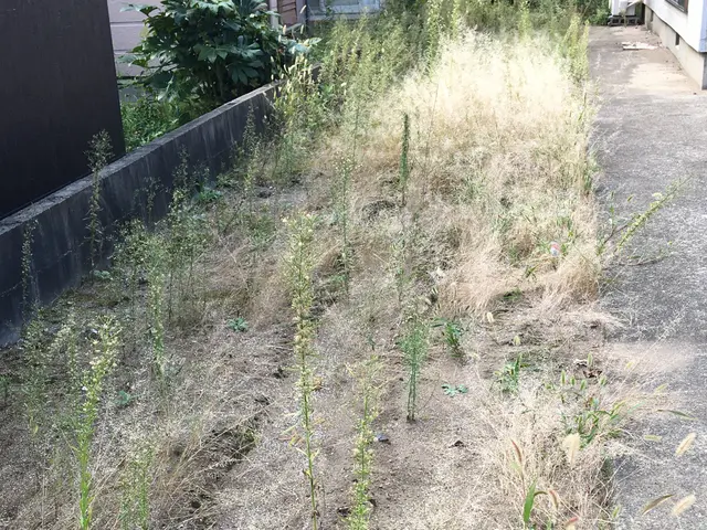 【業界10年以上の経験と実績◎】営業時間外・対応地域外でもご要望お聞きします！サービスの画像