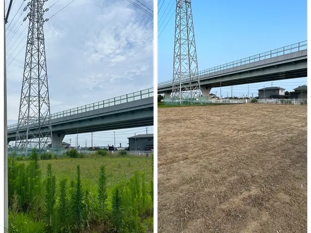 面倒な草刈り、全てお任せ下さい。サービスの画像