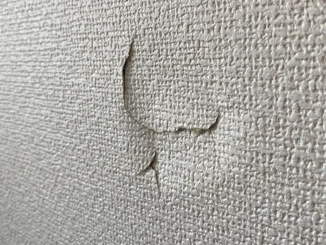 壁の穴・へこみ・破れの補修サービスの画像