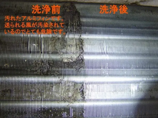 クレカ、paypay対応。お掃除ロボ付き対応、防カビコート込サービスの画像