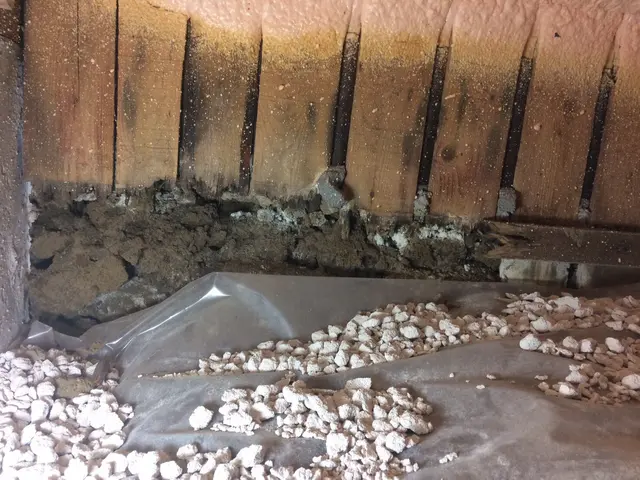 シロアリ・防腐・防カビの三種混合剤消毒はいかがですか？サービスの画像