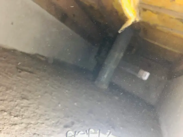 シロアリ・防腐・防カビの三種混合剤消毒はいかがですか？サービスの画像