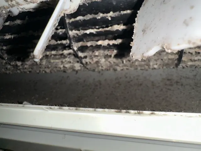 【これからの寒さに備えて！】エアコン分解クリーニング！サービスの画像