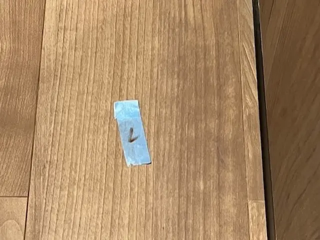 ★火災保険適用？★フローリングの傷リペア★実質負担0円かも？★サービスの画像