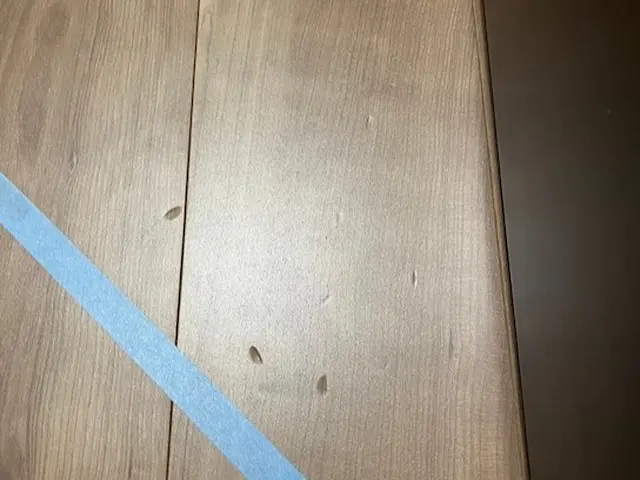 ★火災保険適用？★フローリングの傷リペア★実質負担0円かも？★サービスの画像