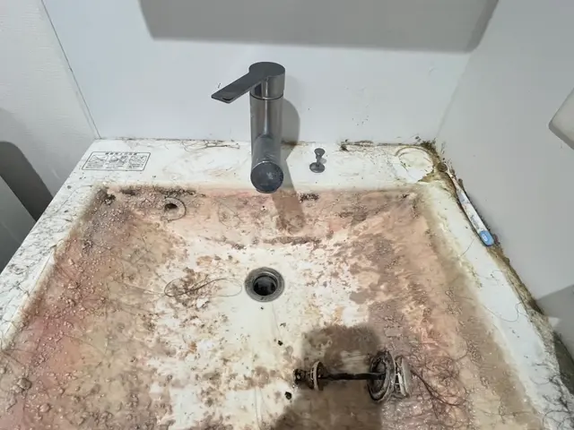 空室まるごとクリーニング（入居前・退去後）快適な暮らしへと導きます☆サービスの画像