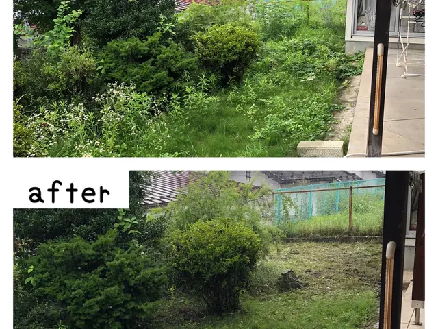 草刈り作業　◎地域密着店◎予約から作業まで100%自社対応◎営業時間外も対応可能サービスの画像