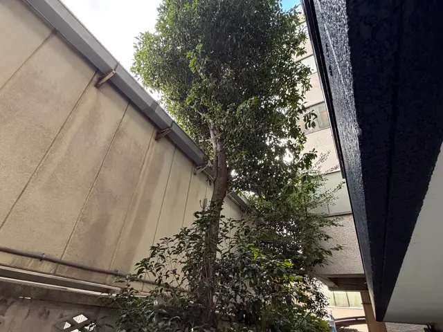 プロの技術でご満足いただけるように心を込めて作業いたします！サービスの画像