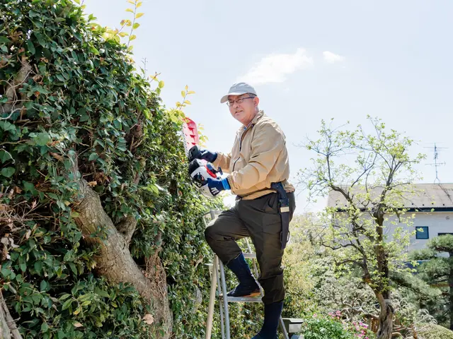 【業歴20年の実績】地域密着★造園施工管理技士二級、造園技能士二級、街路樹剪定士サービスの画像